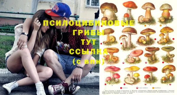мяу мяу кристалл Липки