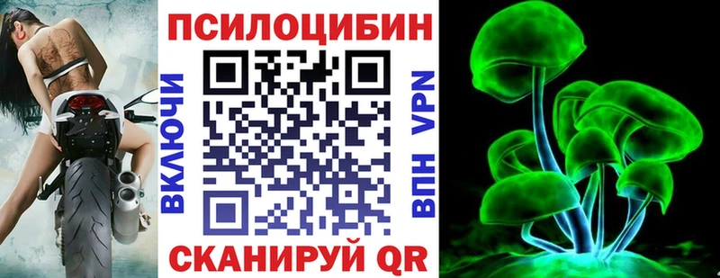 Псилоцибиновые грибы прущие грибы  Купить где  Кировград 
